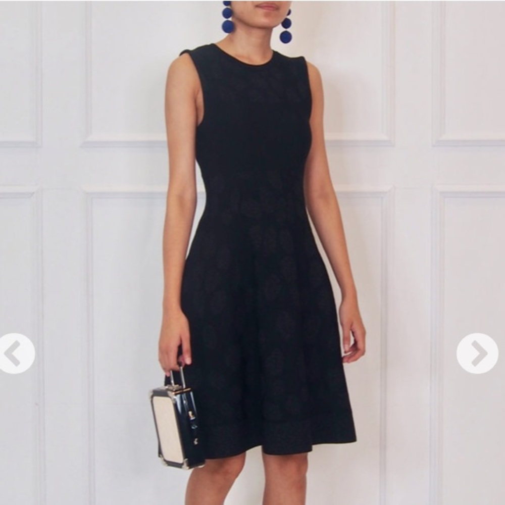 ISSA Black Fit & Flare Dress - Picture 4 of 9